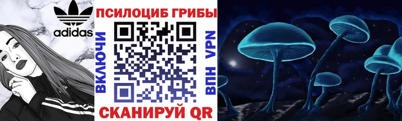 Купить  Буинск  Псилоцибиновые грибы мицелий 