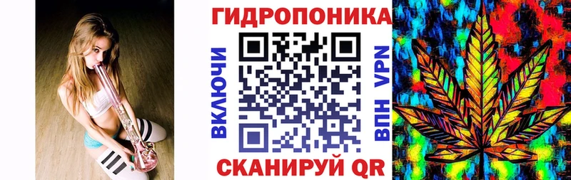 Канабис OG Kush Купить где Буинск